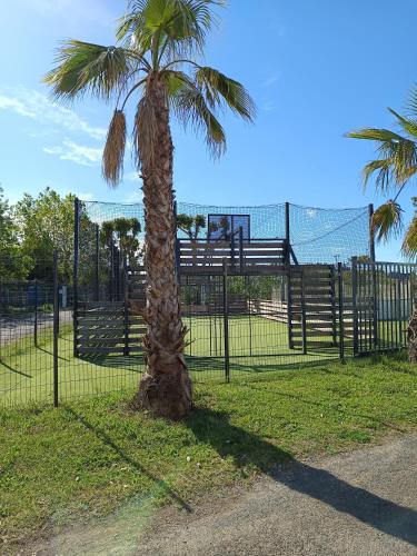 Photo de la galerie de l'établissement sable du midi 1, à Sérignan