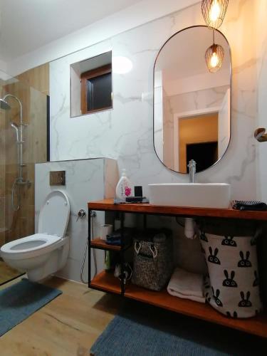 a bathroom with a sink and a toilet and a mirror at Cabana Ella Belis in Beliş