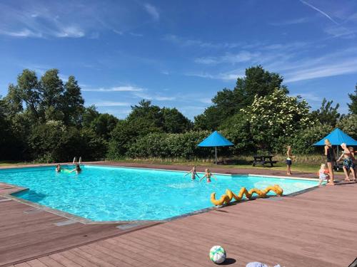 Bazén v ubytování Chalet Makkum C99B met prive gelegen tuin aan het water nebo v jeho okolí