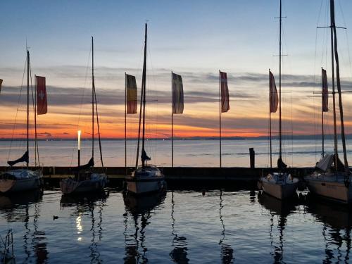 Villa Castelli في كوسترمانو: مجموعة قوارب مرساة في الماء مع أعلام