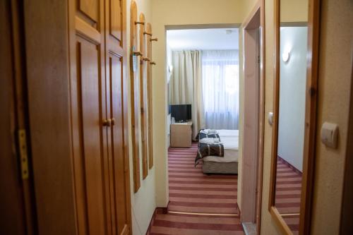 TV o dispositivi per l'intrattenimento presso Hotel Borovets Edelweiss