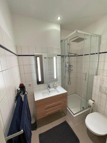 a bathroom with a shower and a sink and a toilet at Apartment in Reudnitz in Leipzig