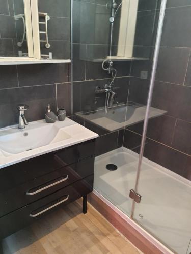 une salle de bain avec douche et lavabo dans l'établissement Le Voisin Toulousain 2, à Toulouse