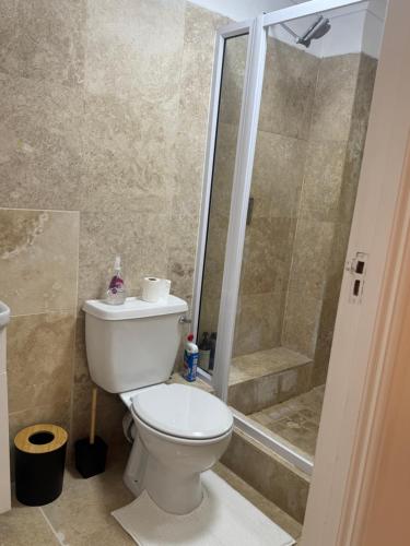 a bathroom with a toilet and a shower at Luxurious Apartment in Cape Town