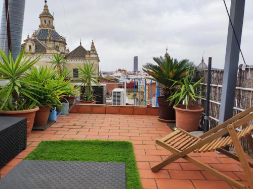 Herbolarios Nice Terrace
