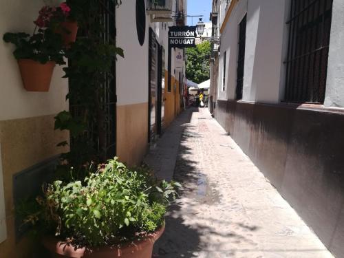 Luz Y Tranquilidad Barrio De Sta Cruz