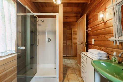 モントリオンにあるChalet Henri, Montriond ideal famillesのバスルーム(シャワー、緑のシンク付)
