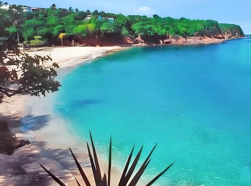 a view of a beach with blue water and trees at Appartement confortable à Capesterre Belle Eau 60 m² vue mer ! in Capesterre-Belle-Eau