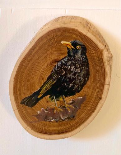 a black bird sitting on a wooden bowl at Amselwohnung in Lübs