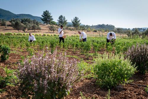 a group of people working in a field at Casa Nonna Bodrum - Adult Only in Bodrum City