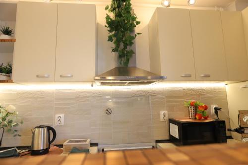 Dapur atau dapur kecil di Apartament Cosmopolis