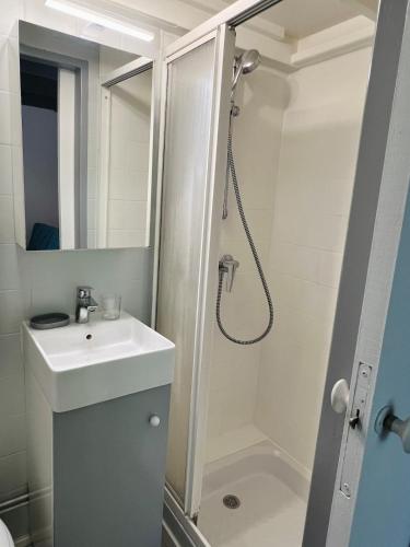 une salle de bain blanche avec une douche et un lavabo dans l'établissement Studio Georges 1er, à Aix-les-Bains