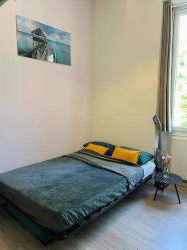 a bedroom with a bed with yellow pillows on it at Studio Georges 1er in Aix-les-Bains