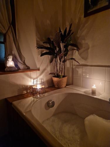 La salle de bains est pourvue d'une baignoire avec une plante en pot. dans l'établissement Very charming village house, à Capendu