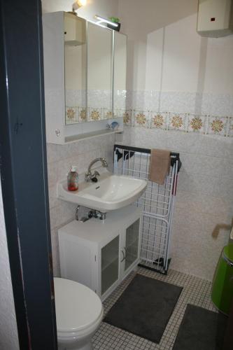 a bathroom with a sink and a toilet at Fels- und Seenland in Ludwigswinkel