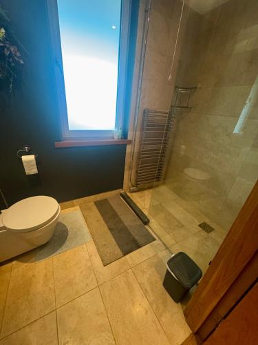 a bathroom with a toilet and a shower with a window at Hazelwood Country House in Adare