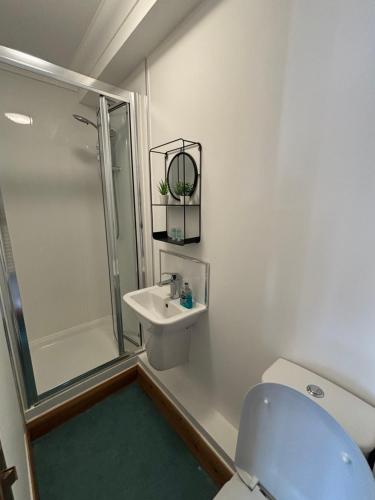 a bathroom with a toilet and a shower and a sink at Stylish & compact city center studio apartment 7a in Norwich