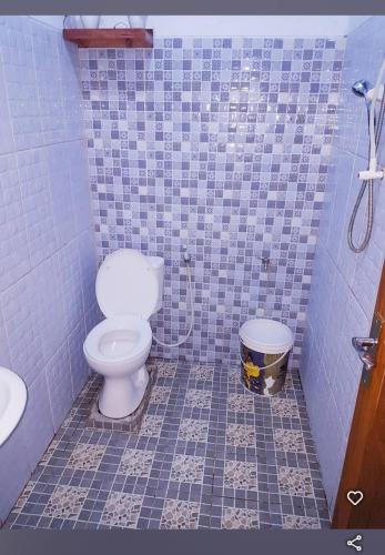 a bathroom with a toilet and a sink at Homestay Durohman Borobudur in Mendut