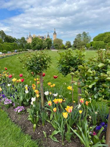 a garden with colorful flowers in a park at Ferienhaus Rehblick Schwerin in Schwerin