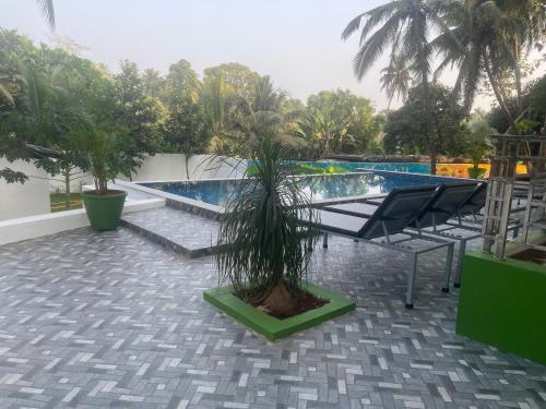 a palm tree sitting on a patio next to a pool at John's Highland Comfort (Guest House) in Majorda