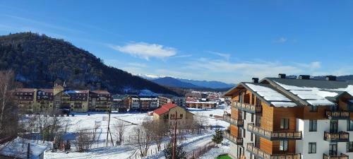 a town in the mountains with snow on the ground at Apartment in bakuriani 36 in Bakuriani