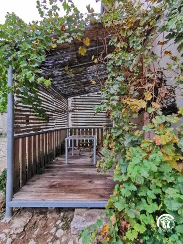 a wooden walkway with a bench sitting on it at Domaine de Stony - Eco-Gîtes et Vignoble in La Peyrade