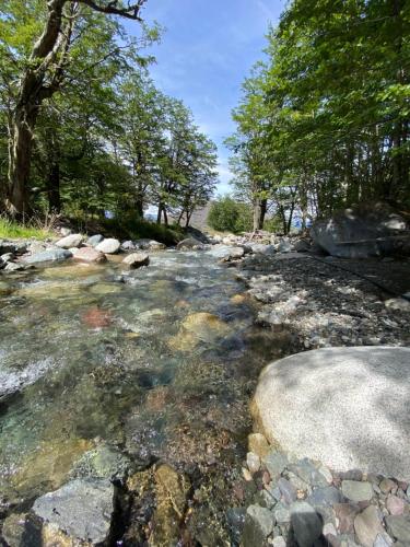 a stream of water with rocks and trees at Cabaña con Vista Bosque y Río in Villa Cerro Castillo