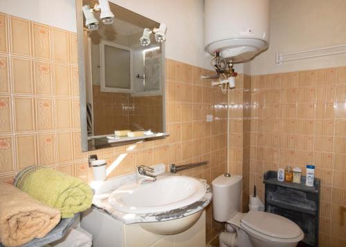 une salle de bain avec un lavabo, des toilettes et un miroir dans l'établissement Duplex, à Grosseto-Prugna