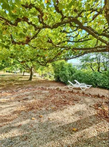 Photo de la galerie de l'établissement Maison paisible à Bauduen avec terrasse et vue sur jardin, à Bauduen