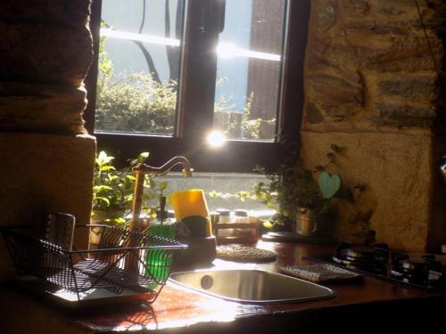 a kitchen counter with a sink and a window at Cabaña Bioxana in Molejón