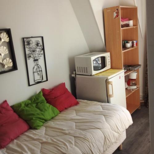 - une chambre avec un lit doté d'oreillers rouges et verts dans l'établissement STUDIO ST MICHEL, à Paris