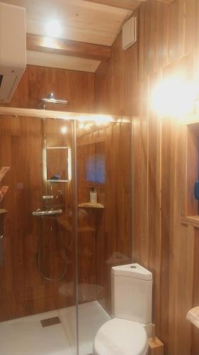 a bathroom with a toilet and a glass shower at L'Entre2rêves in Saint-Maigrin