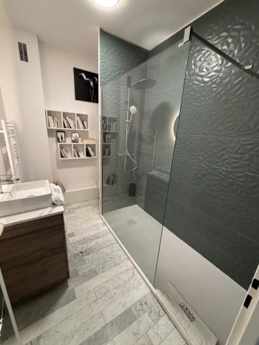 La salle de bains est pourvue d'une cabine de douche en verre. dans l'établissement Grand Studio terrasse vue sur mer et parking, à Ajaccio