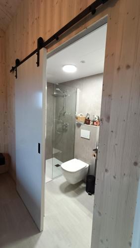 a bathroom with a shower and a toilet in it at Boerenerf Lodge - Erf 1 in Kampen
