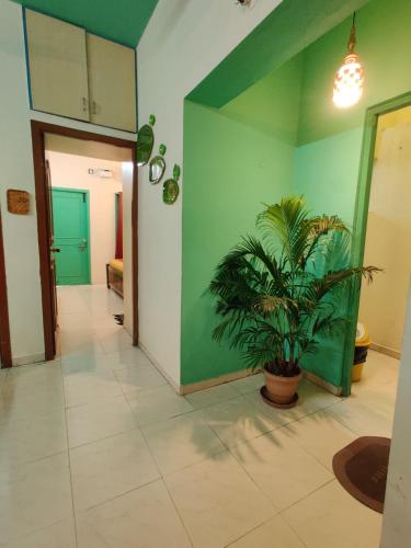 a hallway with green walls and a potted plant at Holiday home stay Puducherry in Puducherry