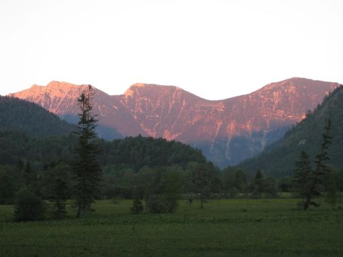 a field with trees and mountains in the background at Apparthotel - Pension Ammertaler Hof in Saulgrub