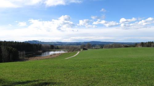 a green field with a river in the distance at Apparthotel - Pension Ammertaler Hof in Saulgrub