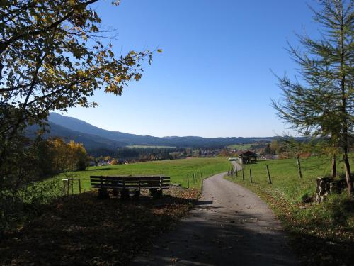 a bench on the side of a dirt road at Apparthotel - Pension Ammertaler Hof in Saulgrub