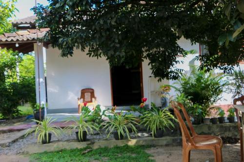 Zahrada ubytování Dihein surf Hostel