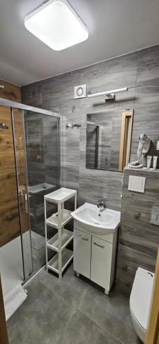 a bathroom with a sink and a shower and a toilet at Rewita Kościelisko-Zakopane in Kościelisko