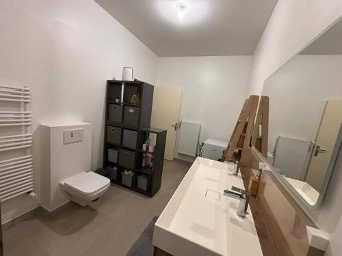 une salle de bain avec un lavabo, des toilettes et un miroir dans l'établissement Appartement partagé avec jardin - métro 11 & 9, à Montreuil