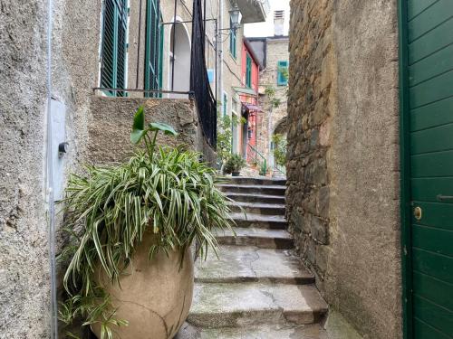 Imagen de la galería de Casa caterina, en Corniglia
