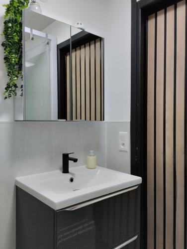 une salle de bain avec un lavabo et un miroir dans l'établissement Domaine du vieux tilleul- Appartements - Gorges Tarn et Jonte, à Meyrueis