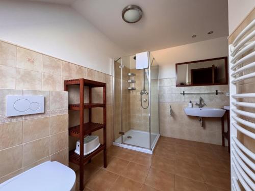 a bathroom with a shower and a toilet and a sink at Penzion Terezka in Králíky