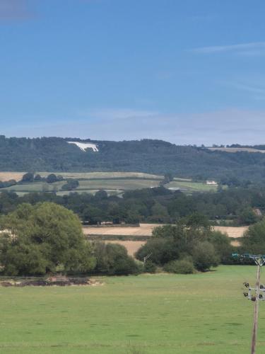 a view of a field with trees in the distance at Burtree Country House, Tipi's, Treehouse & Lodge & house rooms with hot tubs in a private garden in Thirsk