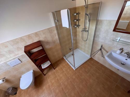 a bathroom with a shower and a toilet and a sink at Penzion Terezka in Králíky