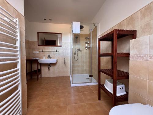 a bathroom with a shower and a sink at Penzion Terezka in Králíky