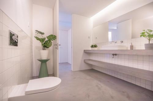 São Vicente Apartment By Minho's Guest