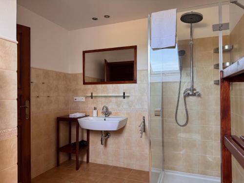 a bathroom with a sink and a shower at Penzion Terezka in Králíky