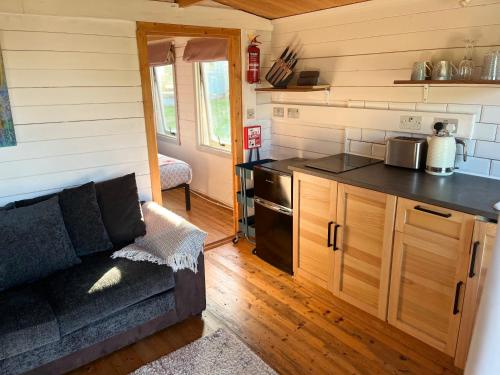 a living room with a couch in a tiny house at Ivy Rose Cabin No Hot Tub in Bude